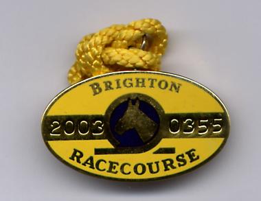 Brighton 2003.JPG (15625 bytes)