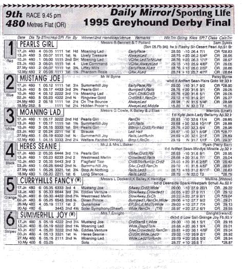 Derby final 1995.JPG (86992 bytes)