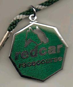 Redcar 2010.JPG (13885 bytes)
