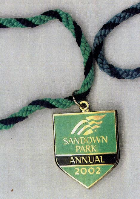Sandown 2002d.JPG (63882 bytes)