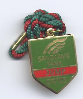 Sandown 2002 jump.JPG (11964 bytes)